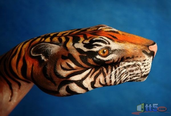 شوف الفن صور رسم حيوانات على اليد - منتديات عبير