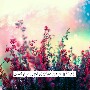 شامخة♡