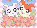 اضغط على الصورة لعرض أكبر. 

الإسم:	547-hamtaro2.jpg 
مشاهدات:	393 
الحجم:	13.8 كيلوبايت 
الهوية:	2530600