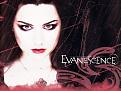 evanescence m