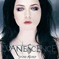 Evanescence Best of Cover 2 updated