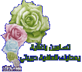 هي عادية