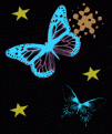 animated butterfly background